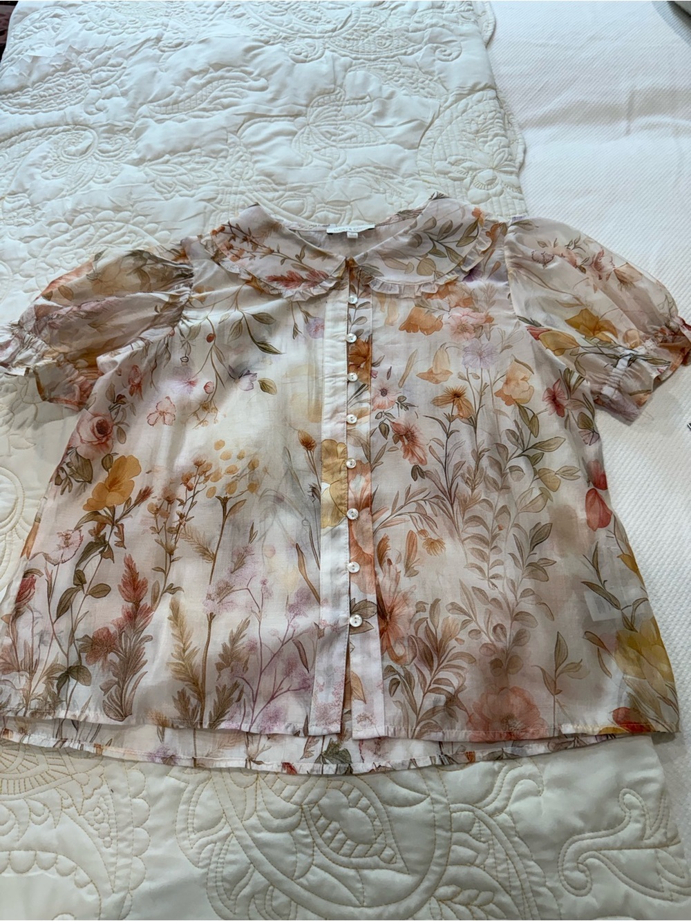 Lucky and Coco Sheer Floral Button-Front Blouse - Cream Multi